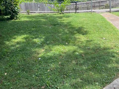 Lawn Care service in Lenoir City, 37771