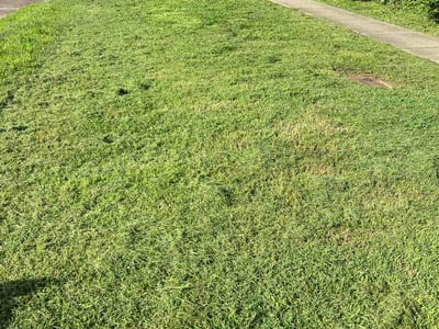 Lawn Care service in Mount Juliet, 37122