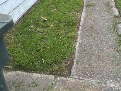 Lawn Care service in Hampton, 23669