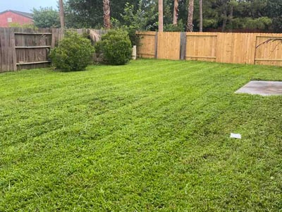 Lawn Care service in Missouri City, 77459