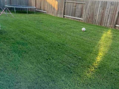 Lawn Care service in Kingwood, 77339