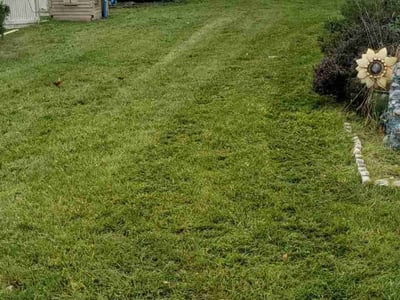 Lawn Care service in Lehigh Valley, 18103