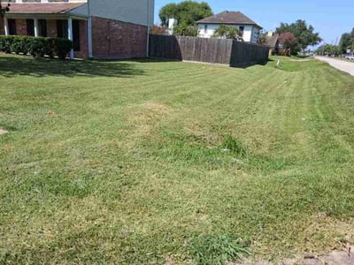 Lawn Care service in Porter, 77365