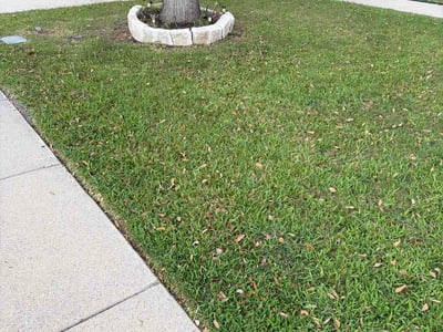 Lawn Care service in Cleburne, 76033