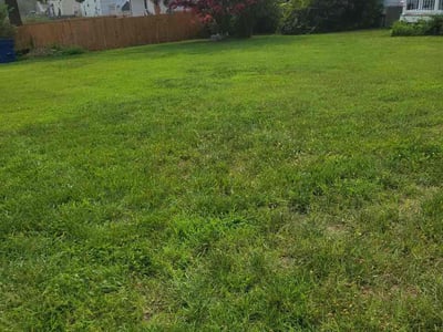 Lawn Care service in Ashland, 23005