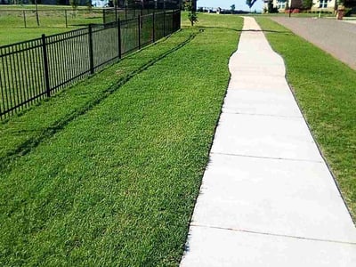 Lawn Care service in ,