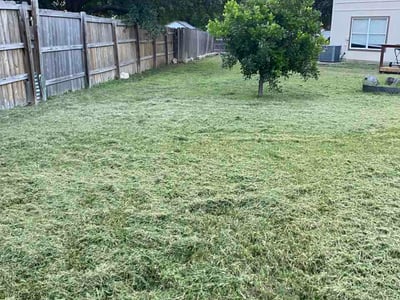 Lawn Care service in Alamo Heights, 78209