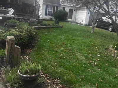 Lawn Care service in Washington, 15301