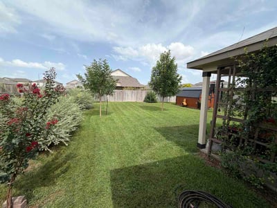 Lawn Care service in Alamo Heights, 78209