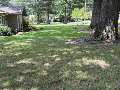 Lawn Care service in Germantown, 38138