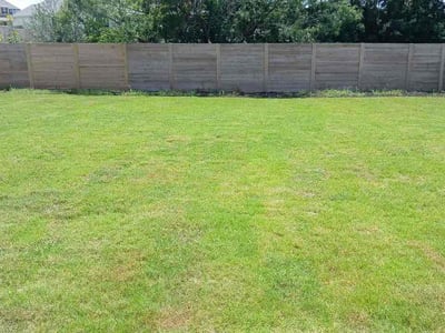 Lawn Care service in Dale, 78616