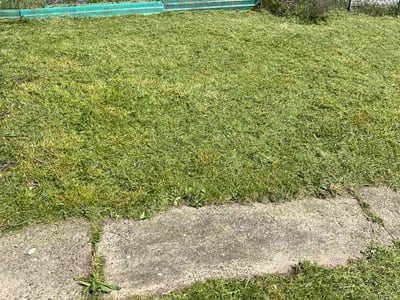 Lawn Care service in Butler, 16001