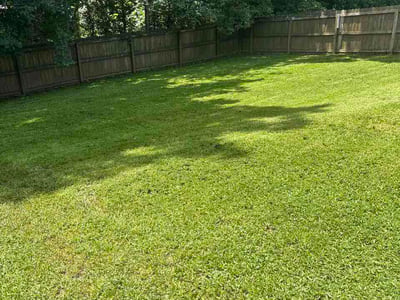 Lawn Care service in Horn Lake, 37160