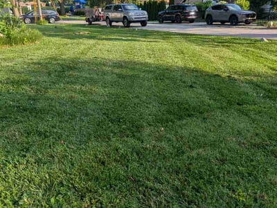 Lawn Care service in Phoenixville, 19460