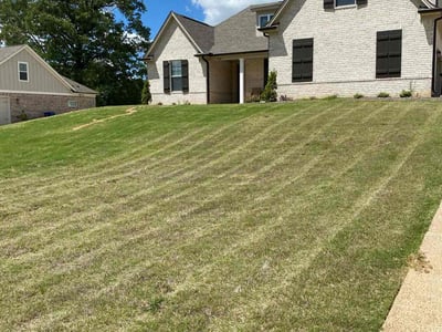 Lawn Care service in Collierville, 38017