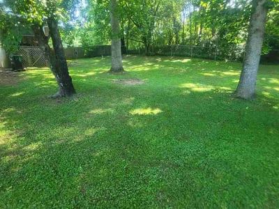 Lawn Care service in Marion, 37347