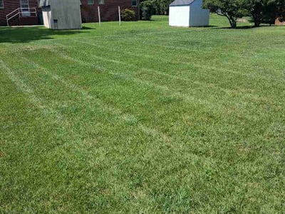 Lawn Care service in Colonial Heights, 23834