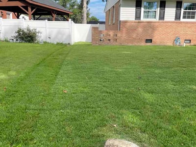 Lawn Care service in Colonial Heights, 23834