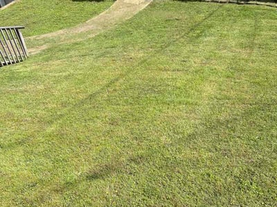 Lawn Care service in Dunlap, 37327