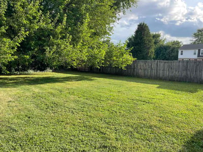 Lawn Care service in Colonial Heights, 23834