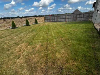 Lawn Care service in Floresville, 78114
