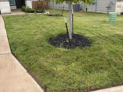 Lawn Care service in Floresville, 78114