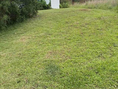 Lawn Care service in Lexington, 29072