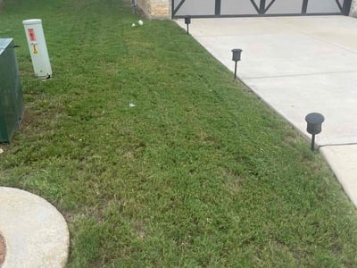 Lawn Care service in Floresville, 78114