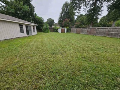 Lawn Care service in Rosenberg, 77471