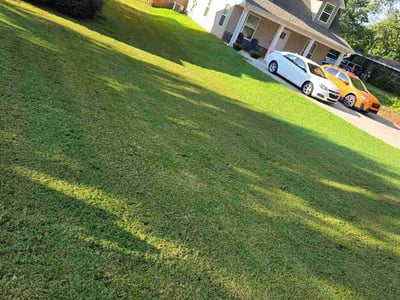 Lawn Care service in Williamston, 29697