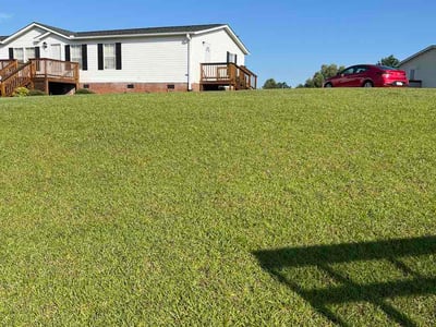 Lawn Care service in Williamston, 29697