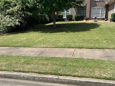 Lawn Care service in Cordova, 38018