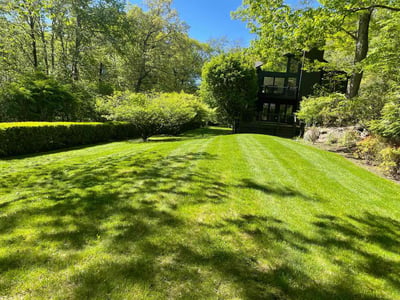 Lawn Care service in Greenwich, 06830