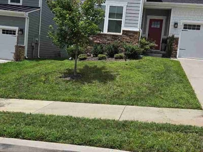 Lawn Care service in Brentwood, 37027