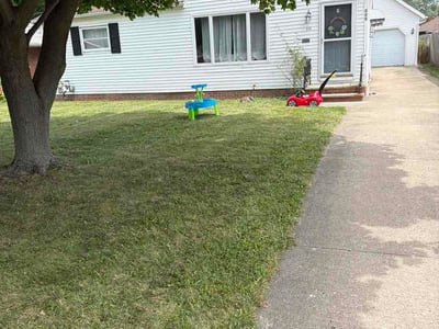 Lawn Care service in Sheffield Lake, 44054