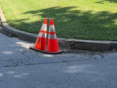Lawn Care service in Greer, 29651
