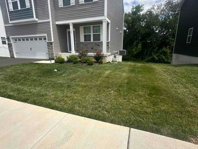 Lawn Care service in Easton, 18042