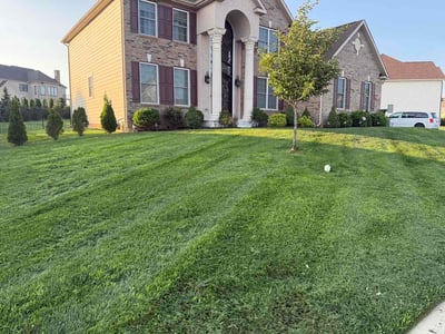 Lawn Care service in Easton, 18042