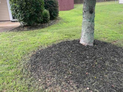 Lawn Care service in Simpsonville, 29681