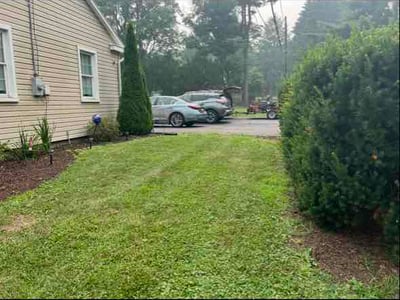 Lawn Care service in Easton, 18042