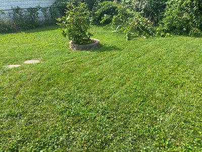 Lawn Care service in Tarentum, 15084