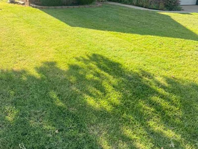 Lawn Care service in Yukon, 73099