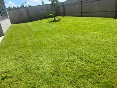 Lawn Care service in La Marque, 77568