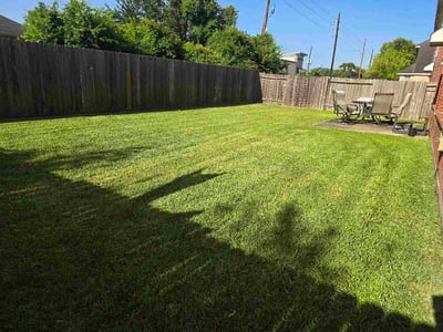 Lawn Care service in Alvin, 77511