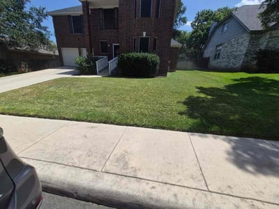 Lawn Care service in Selma, 78154