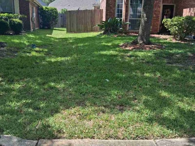 Lawn Care service in Alvin, 77511