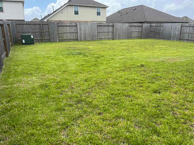 Lawn Care service in Alvin, 77511