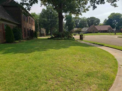 Lawn Care service in Bartlett, 38134