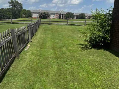 Lawn Care service in Bartlett, 38134