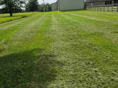 Lawn Care service in Angleton, 77515